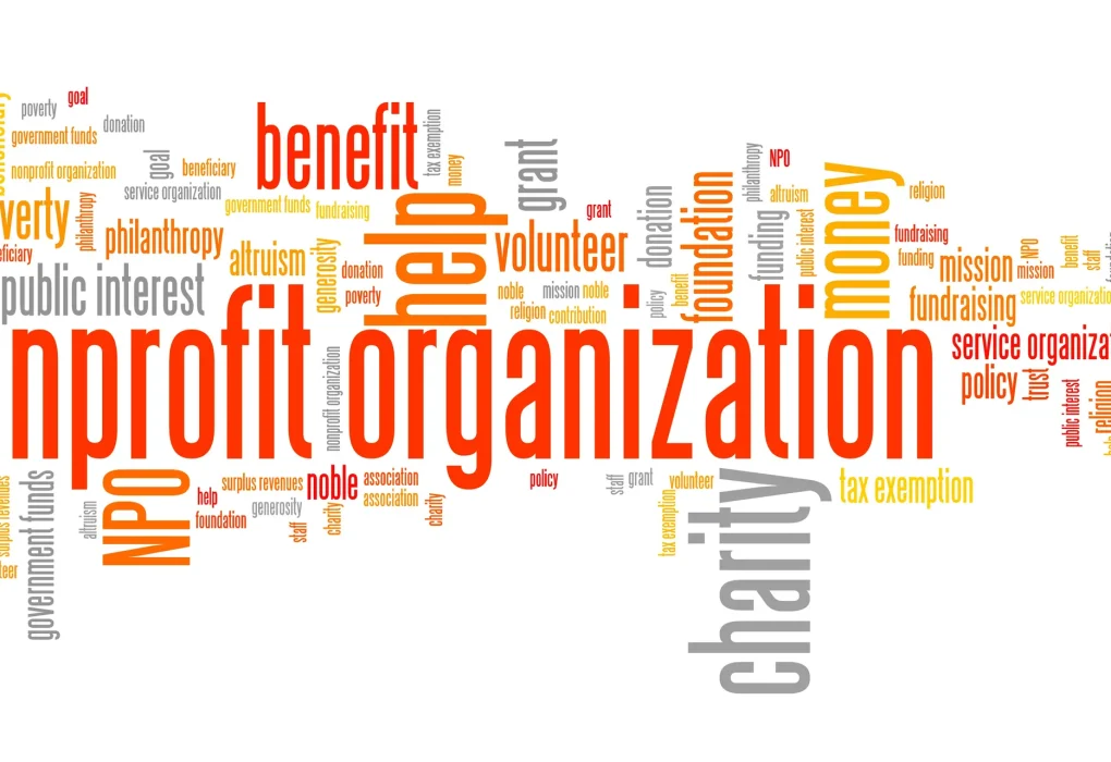The Definitive Guide to Charity Organization Structure